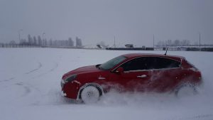 alfa kışlık bakım